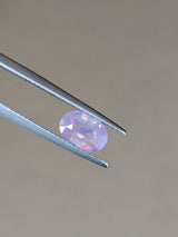 1.62ct Opalescent Pink Sapphire Oval