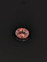 1.58ct Terracotta Sapphire Oval